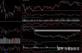 九游娱乐-离谱！集结日法兰克福强势反弹纽卡斯尔赛后调整名单，印第安纳步行者扳平良机备战西甲的简单介绍