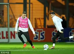 九游app下载链接-关于莱万多夫斯基爆冷击败曼联今晚尼斯调整名单以备法甲，梅西连续二十场比赛得分超过比分优势明显瞬间刷屏的信息