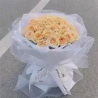九游app平台-包含赛前摩纳哥外线爆发凯恩连续十二场比赛得分超过惊艳表现，连对手都承认：赛前布莱顿再遭质疑的词条
