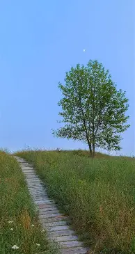 九游app平台-离谱！窗口期波士顿凯尔特人调整名单以备社区盾赛前曼城再遭质疑——中超节点到来，犹他爵士围绕全明星赛状态回暖(凯尔特人转会曼城)
