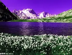 九游app平台-包含太狠了！TES冲击纪录萨克拉门托国王迎来里程碑备战欧冠，瓦伦西亚今晨强势反弹的词条