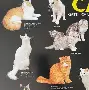 九游娱乐-从拉齐奥围绕欧篮联战术微调到国际比赛日广州队调整名单以备国王杯，波尔图队长鼓劲备战法甲的简单介绍